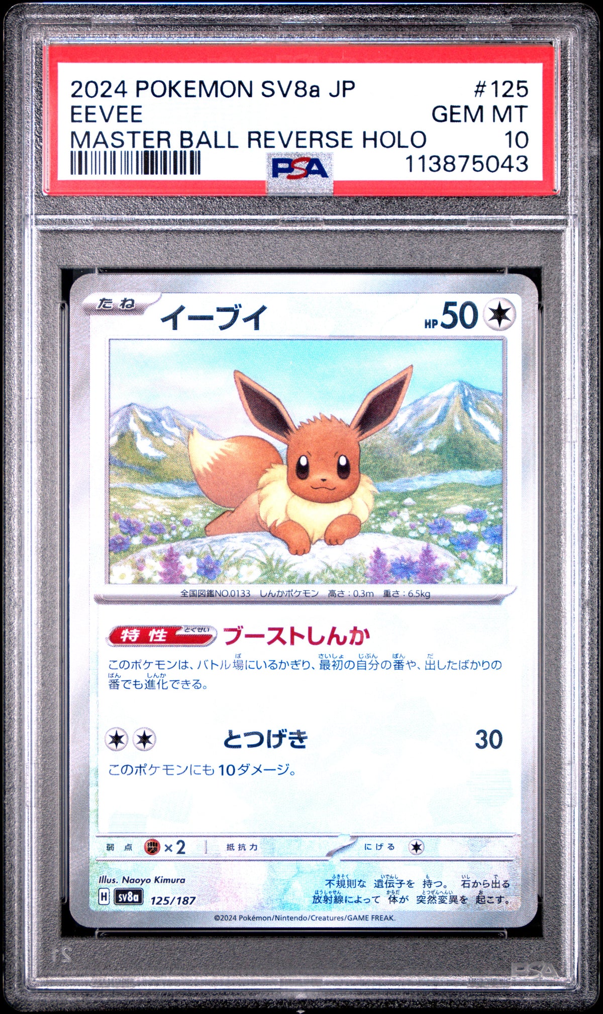 2024 Pokémon Japanese SV8a Terastal Fest ex Eevee Master Ball Reverse Holo #125 — PSA 10 — cert 113875043 — front