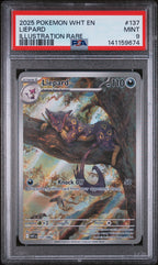 2025 Pokémon White Flare Liepard Illustration Rare #137 — PSA 9 — cert 141159674 — front