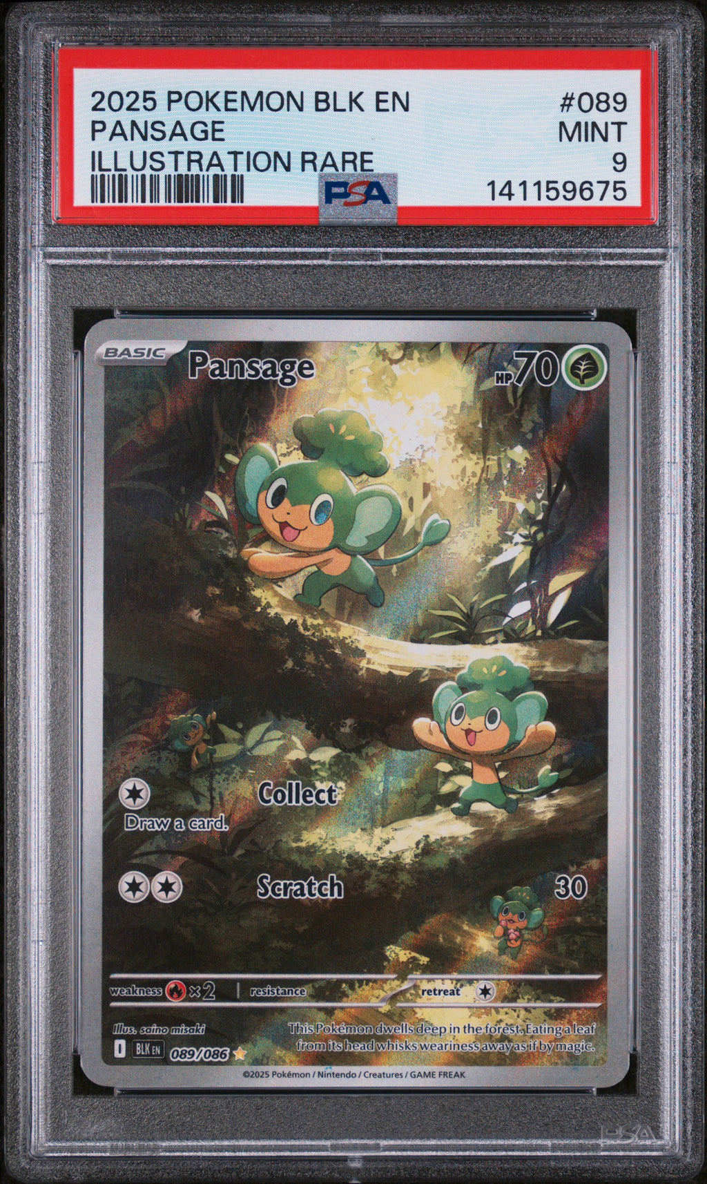 2025 Pokémon Black Bolt Pansage Illustration Rare #089 — PSA 9 — cert 141159675 — front