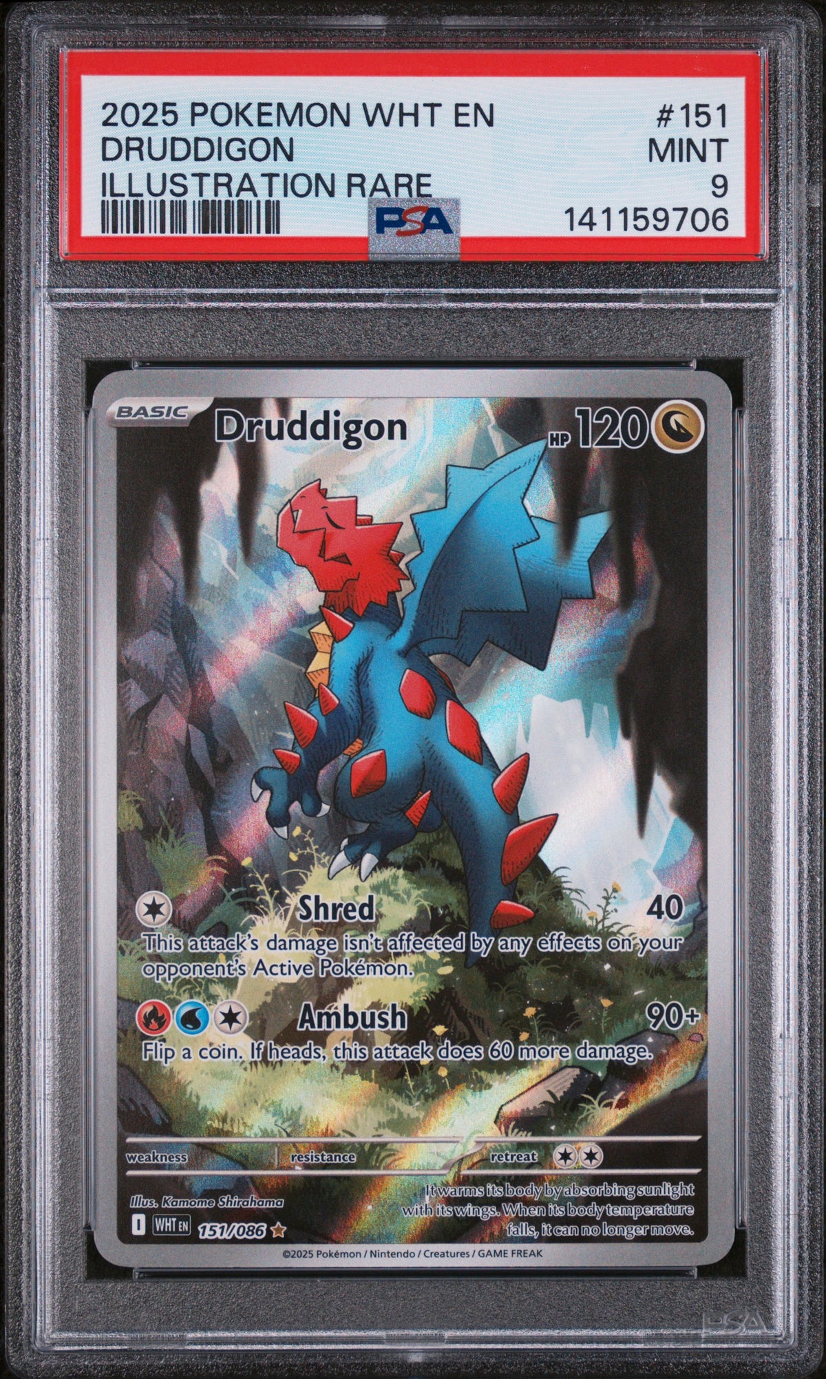 2025 Pokémon White Flare Druddigon Illustration Rare #151 — PSA 9 — cert 141159706 — front