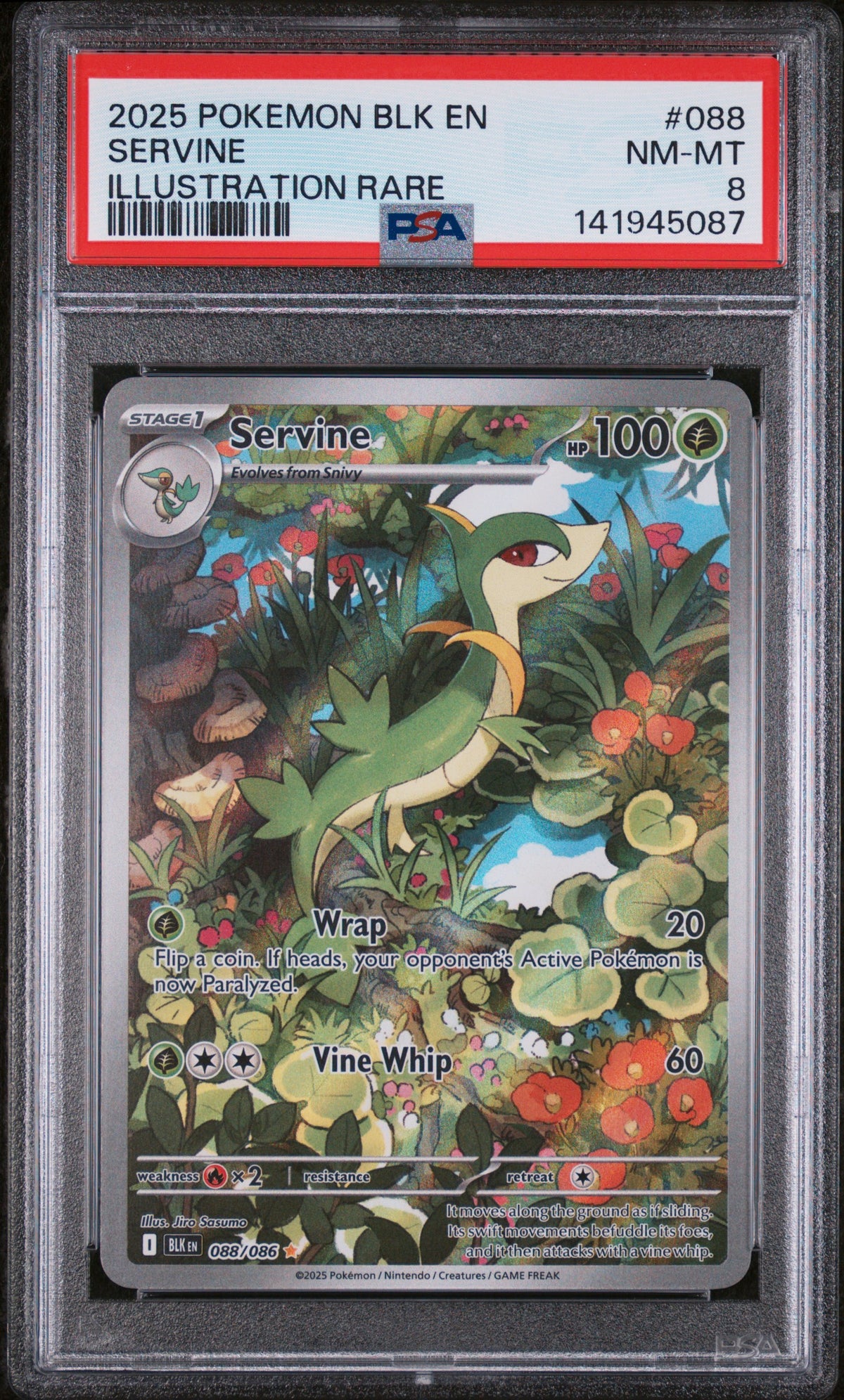 2025 Pokémon Black Bolt Servine Illustration Rare #088 — PSA 8 — cert 141945087 — front